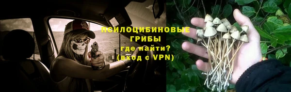 ALPHA PVP Белоозёрский