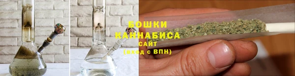 СК Богородск