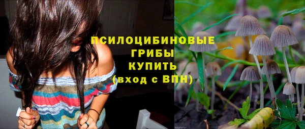 стафф Богданович