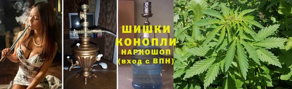 каннабис Белокуриха