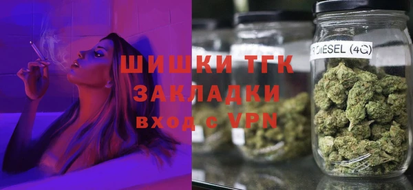 СК Богородск