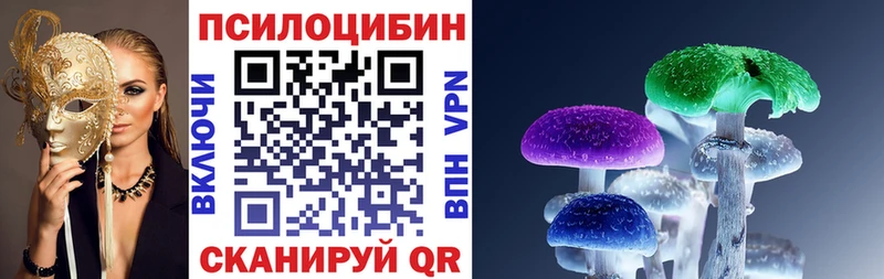 Псилоцибиновые грибы мицелий  купить  цена  Нижнекамск 